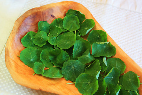 Petite® Nasturtium Leaf