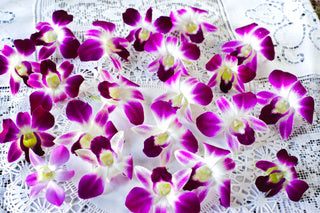Decorative Orchid