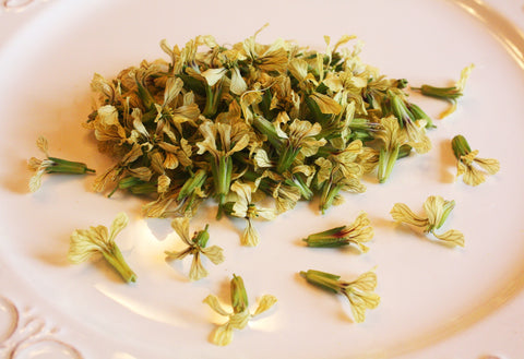 Arugula Blossom