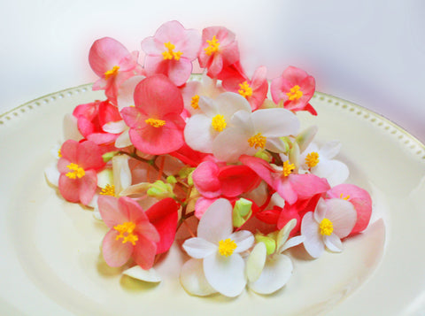 Begonia Flower Mix