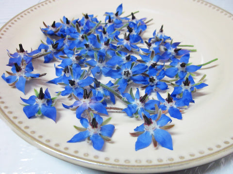 Borage Blossom