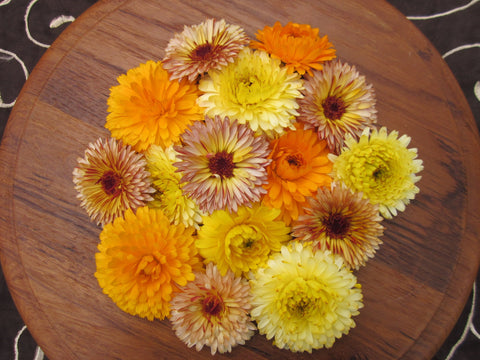 Calendula