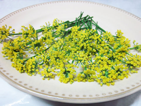 Fennel Flower