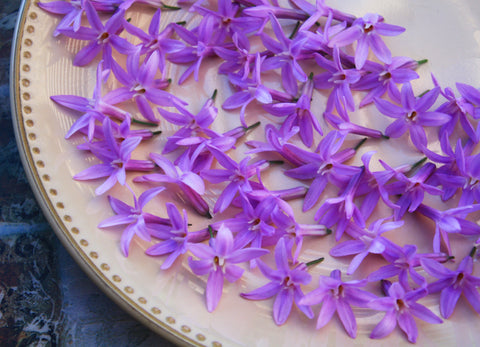 Garlic Flower