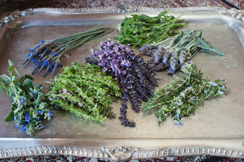 Herb Flowers Mix