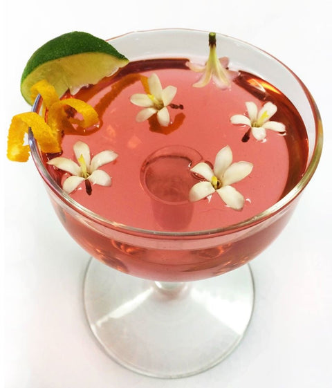 Jasmine Flower
