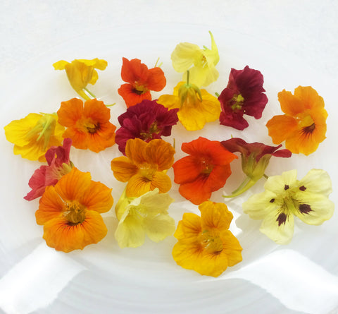 Nasturtium Flower