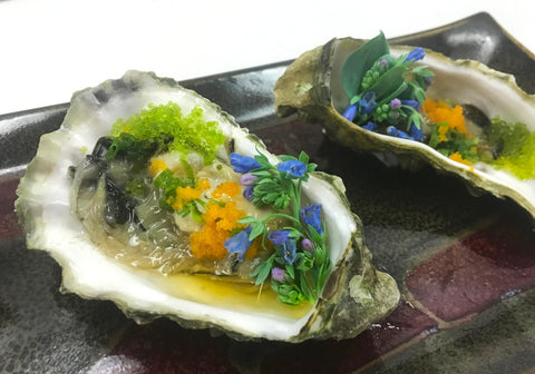Oyster Flower