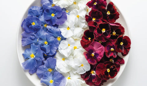 Premium Pansy Red, White, & Blue Mix