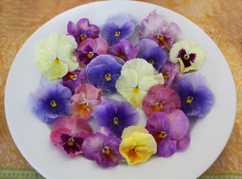 Premium Pansy Pastel Mix