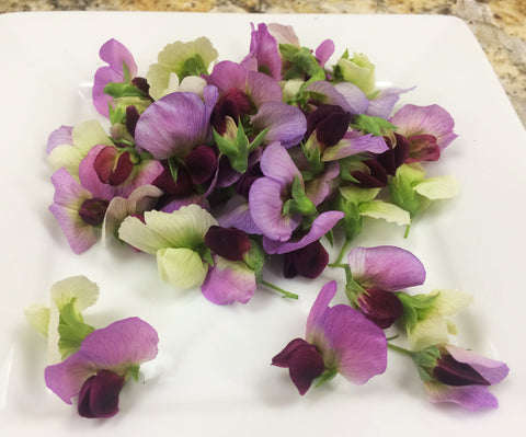 Pea Flower