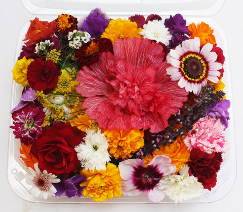 Premium Assortment Mix