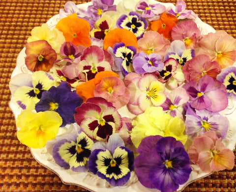 Premium Pansy Spring Mix