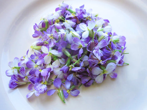 Radish Flower