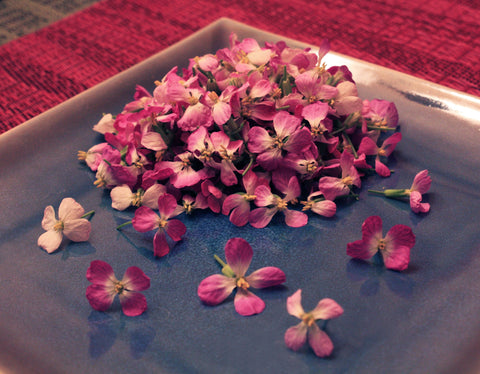 Radish Flower