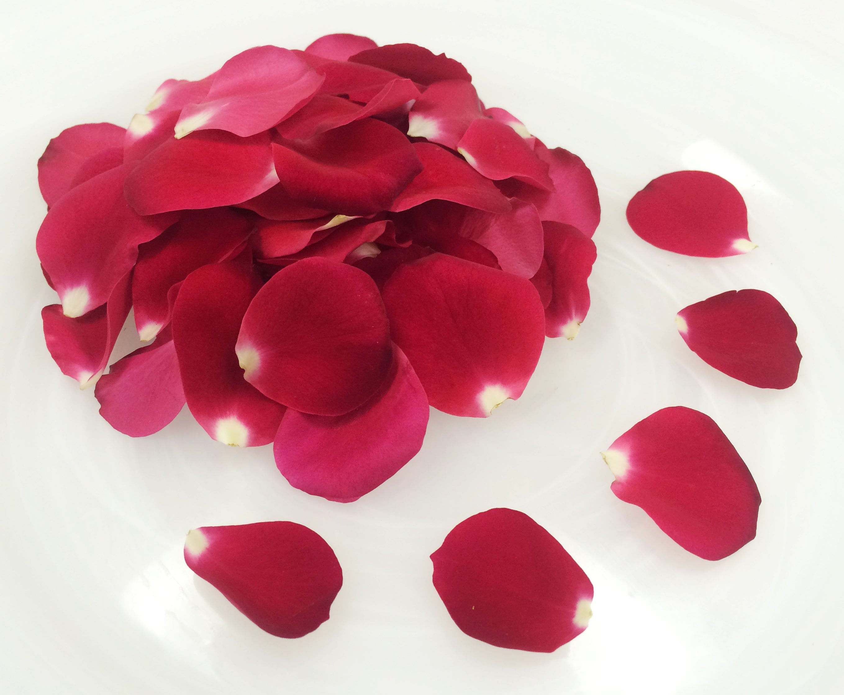 Premium Rose Petal Red