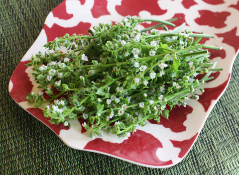 Shiso Flower Mix™