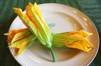 Squash Blossom