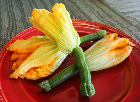 Zucchini w/ Flower