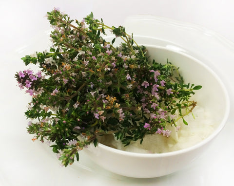 Thyme Blossom