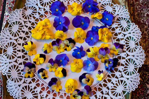 Viola
