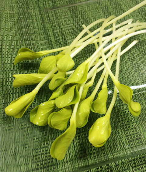 Squash Shoots Gold™