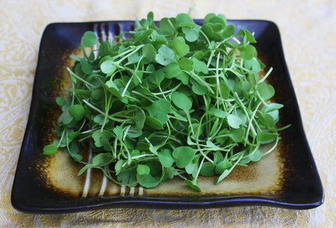 Micro Arugula