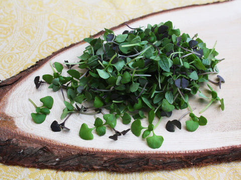 Micro Basil Mix™