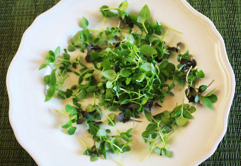 Micro Basil Mix™