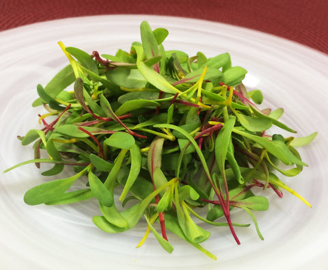 Micro Chard Mix