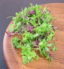 Micro Fines Herbes Mix™