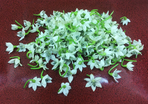 Micro Pepper Flower White™