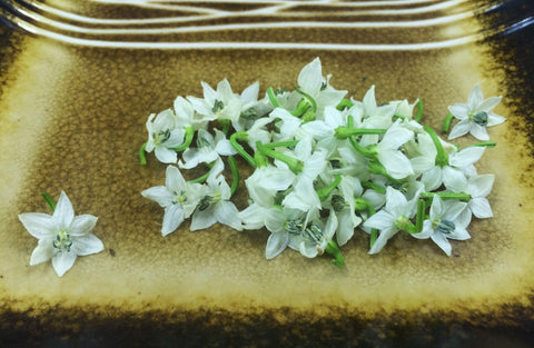 Micro Pepper Flower White™