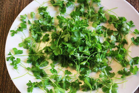 Micro Parsley Italian