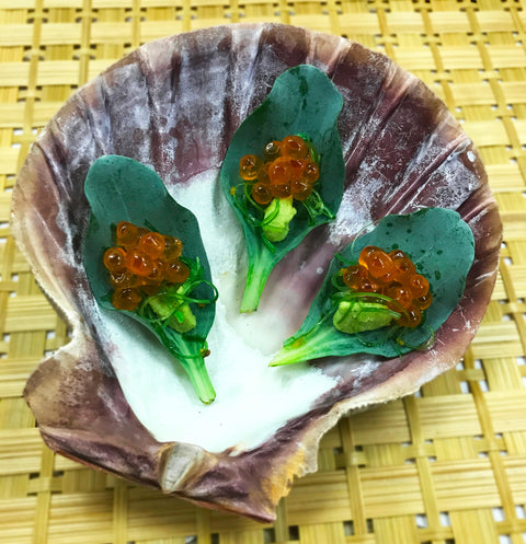Oyster Leaf