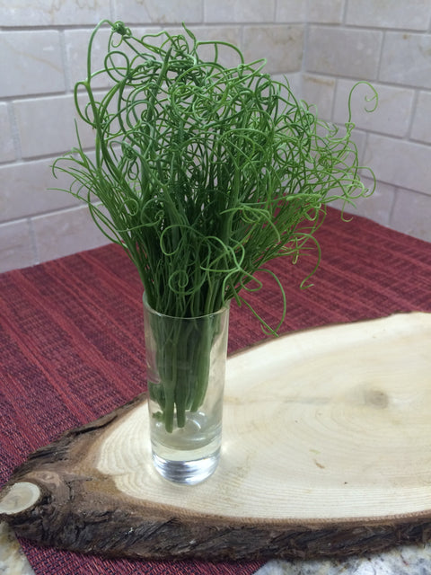 Pea Tendril