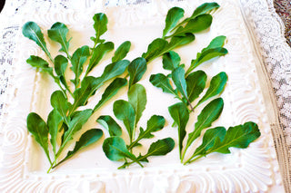 Petite® Arugula
