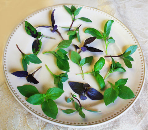 Petite® Basil Mix