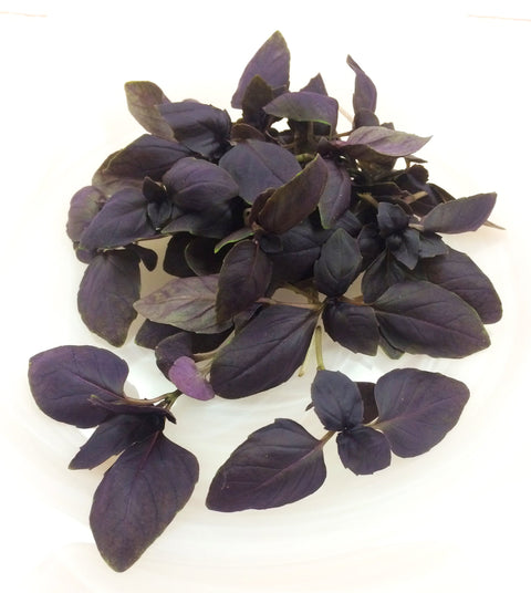 Petite® Basil Opal