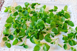 Petite® Mint Lemon™