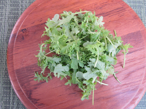 Petite® Mustard Green Frill