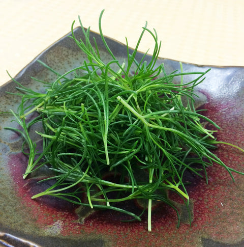 Petite® Sea Grass™