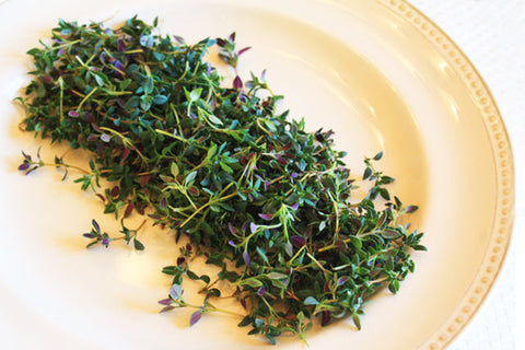 Petite® Thyme