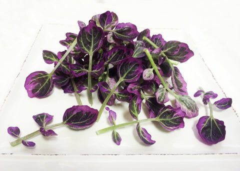 Petite® Watercress Pink Ice™