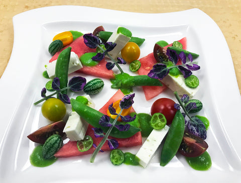 Petite® Watercress Pink Ice™