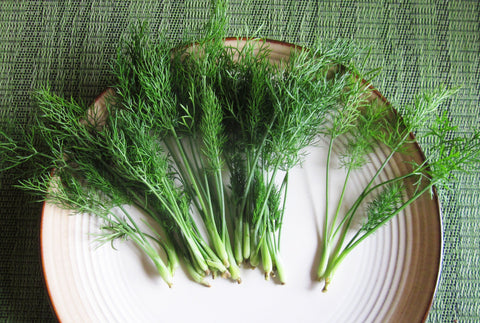 Tiny Veggies™ Fennel Root