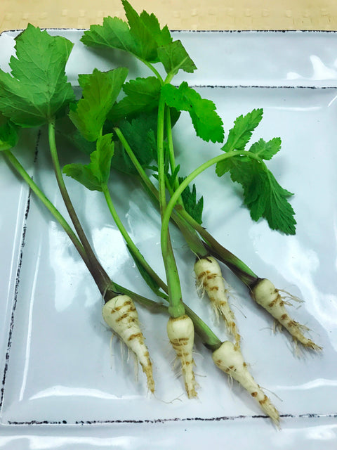 Tiny Veggies™ Parsnip