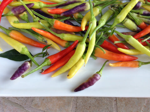 Tiny Veggies™ Pepper