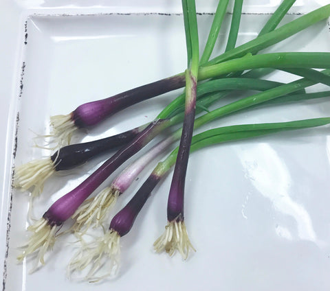 Tiny Veggies™ Scallion Red