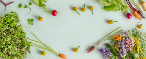 Fresh Edible Flowers - Petite Mix – Cherry Valley Organics